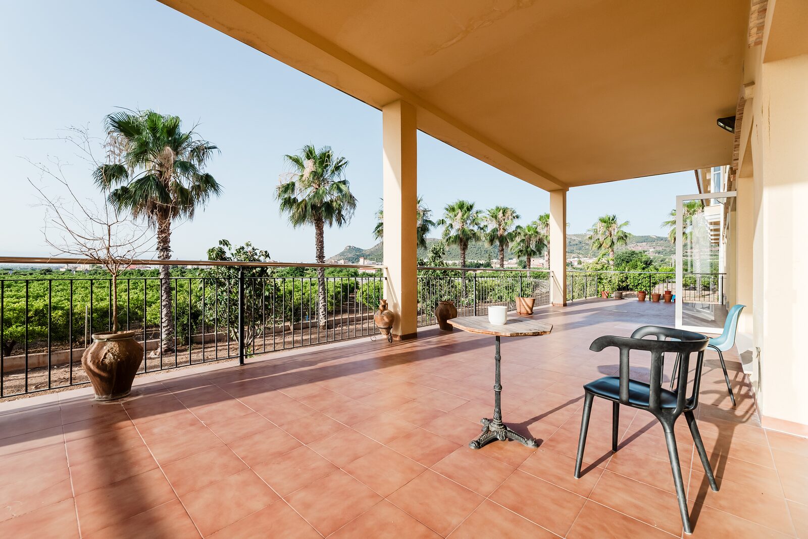 Terraza con palmeras y vistas a la huerta y las montañas