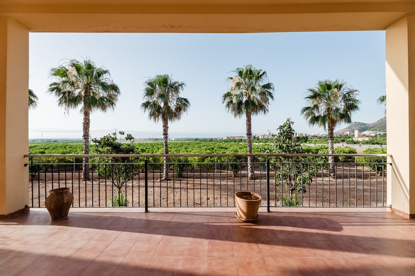 Vistas a los campos de naranjos desde la terraza