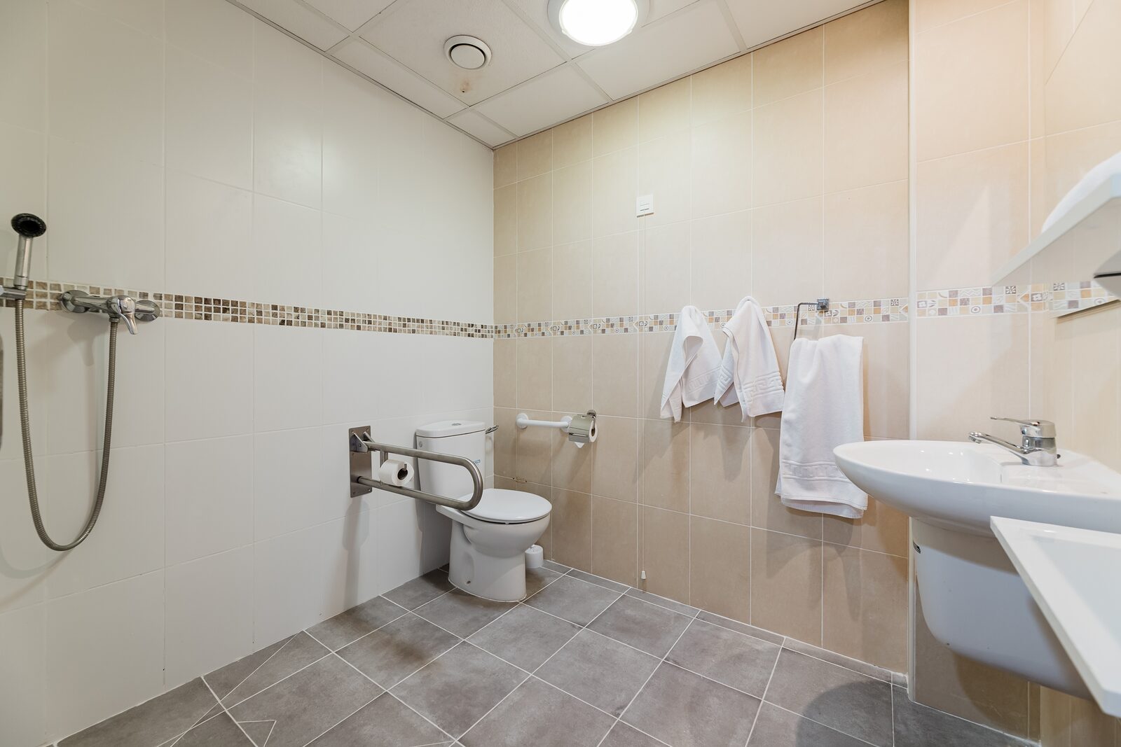 Baño adaptado con ducha accesible